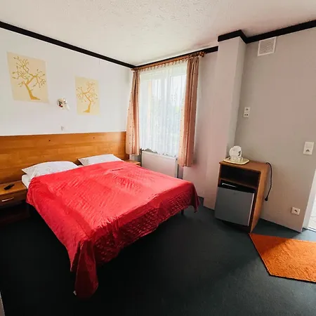 Goscinne Pelikan Guest house 3*